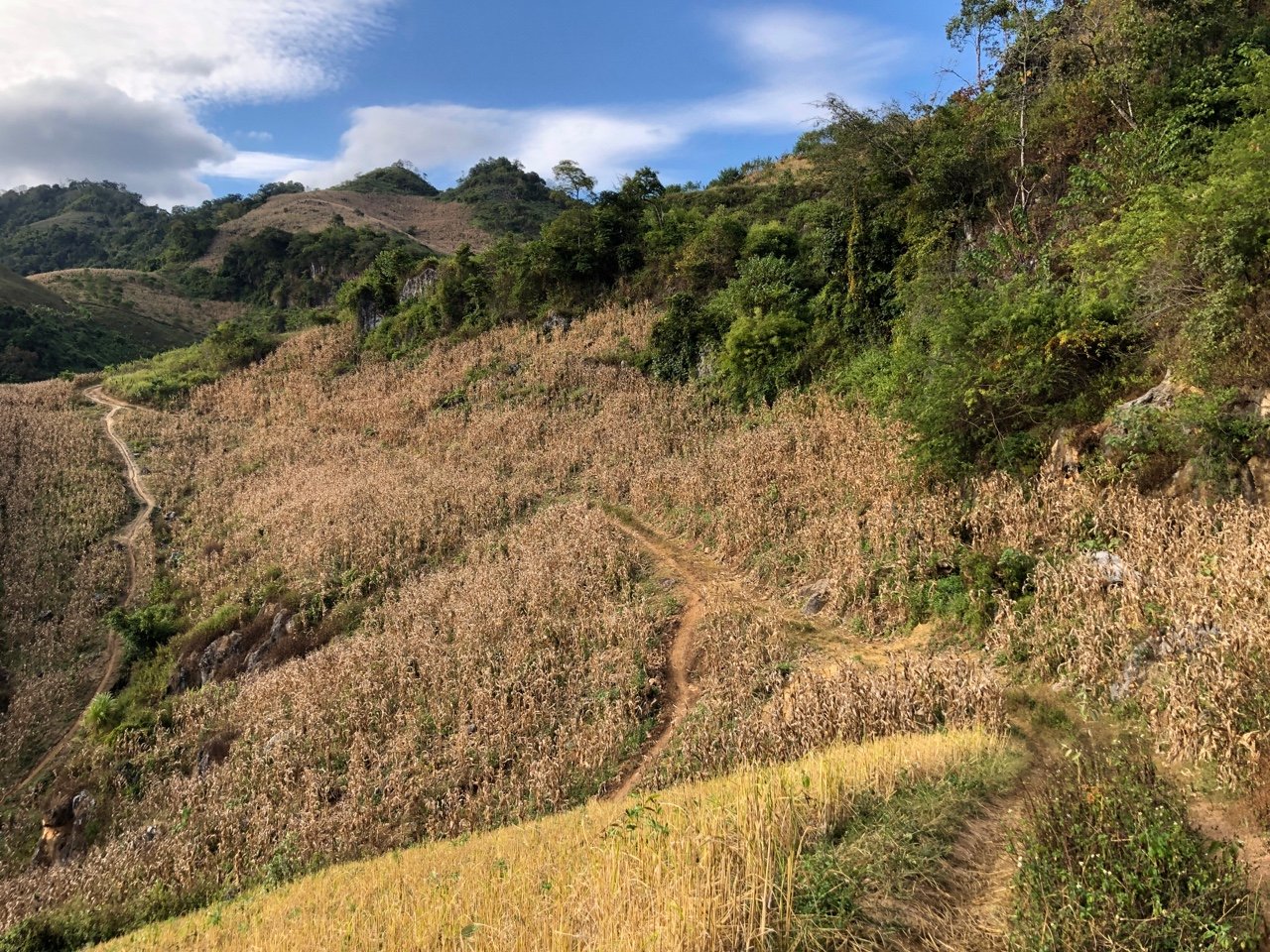 Explore Pu Luong by Bicycle: Ride Through Vietnam’s Untouched Beauty